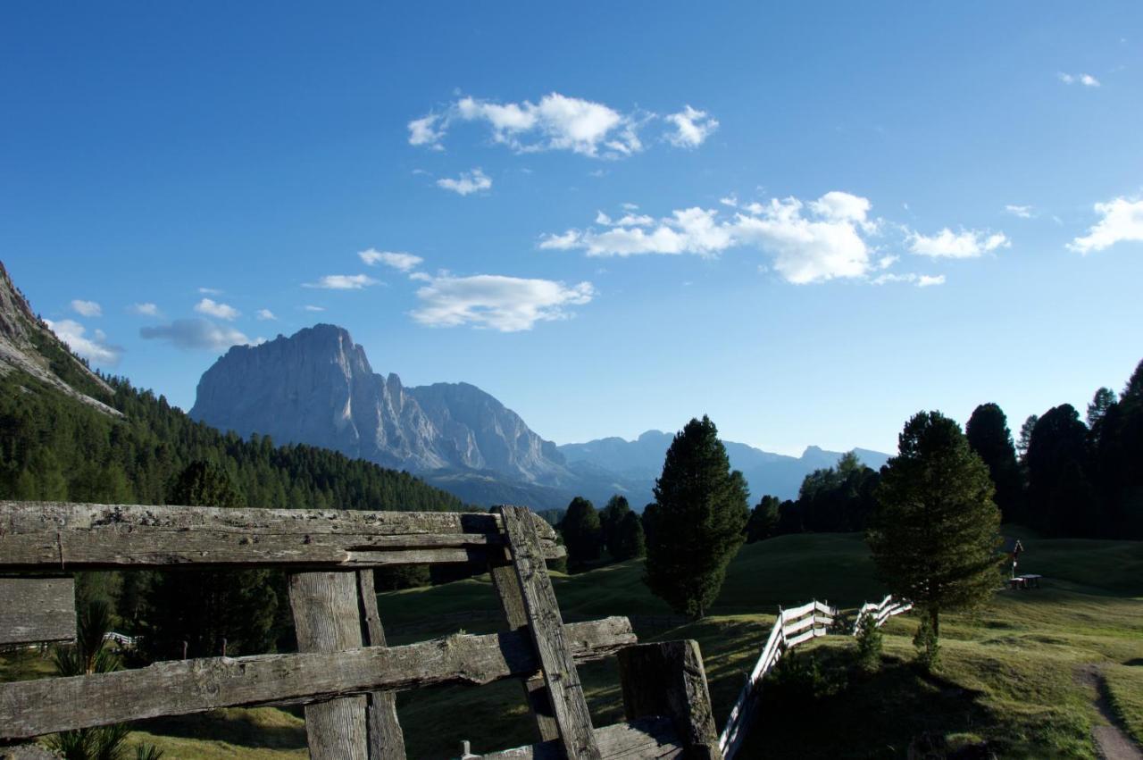 Apartments Udera Selva di Val Gardena Bagian luar foto